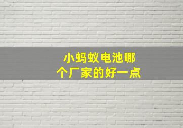 小蚂蚁电池哪个厂家的好一点