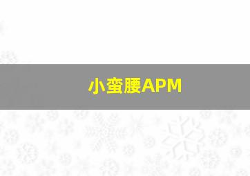 小蛮腰APM