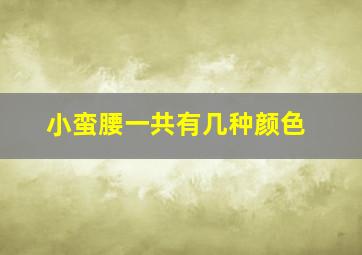 小蛮腰一共有几种颜色