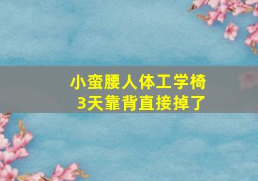 小蛮腰人体工学椅3天靠背直接掉了