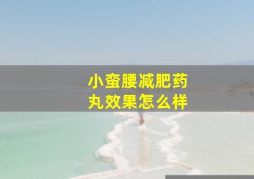 小蛮腰减肥药丸效果怎么样