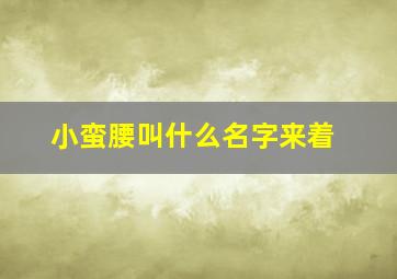 小蛮腰叫什么名字来着