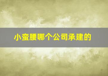 小蛮腰哪个公司承建的