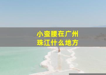 小蛮腰在广州珠江什么地方