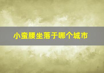 小蛮腰坐落于哪个城市