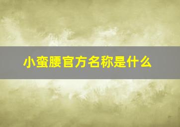 小蛮腰官方名称是什么