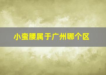 小蛮腰属于广州哪个区