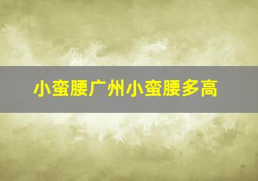 小蛮腰广州小蛮腰多高