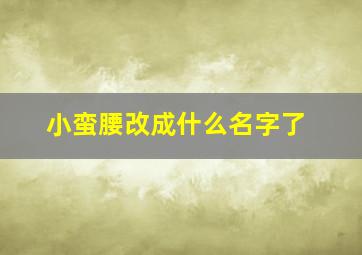 小蛮腰改成什么名字了