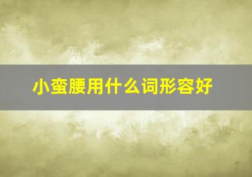 小蛮腰用什么词形容好