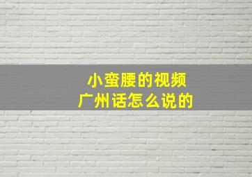 小蛮腰的视频广州话怎么说的