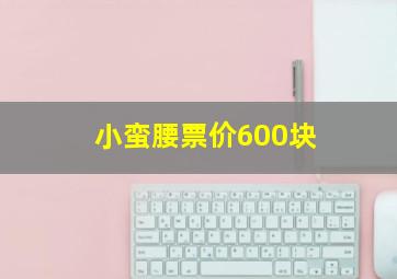 小蛮腰票价600块