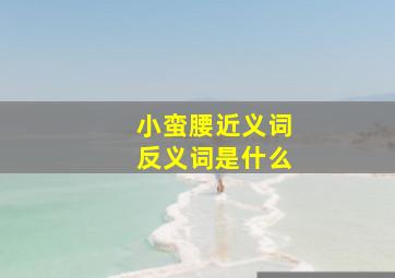 小蛮腰近义词反义词是什么