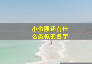 小蛮腰还有什么类似的名字