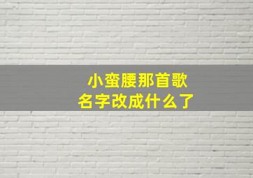 小蛮腰那首歌名字改成什么了