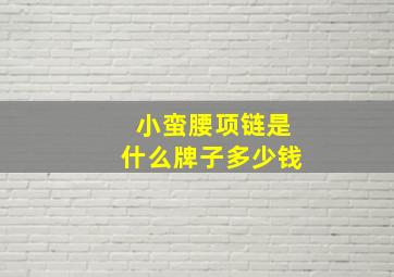 小蛮腰项链是什么牌子多少钱