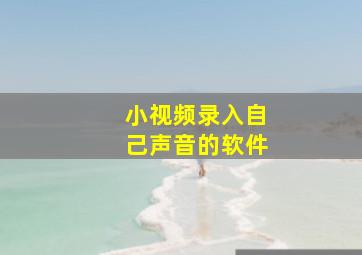 小视频录入自己声音的软件