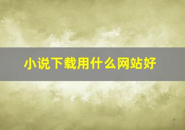 小说下载用什么网站好