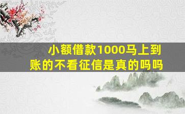 小额借款1000马上到账的不看征信是真的吗吗