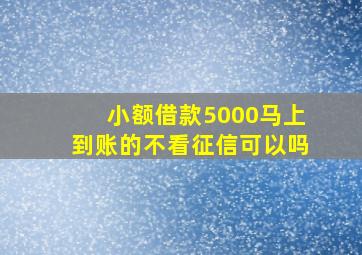 小额借款5000马上到账的不看征信可以吗