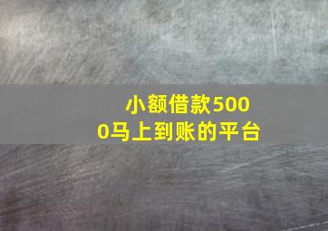 小额借款5000马上到账的平台