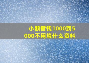 小额借钱1000到5000不用填什么资料