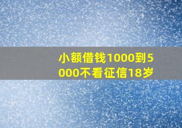 小额借钱1000到5000不看征信18岁