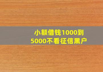 小额借钱1000到5000不看征信黑户