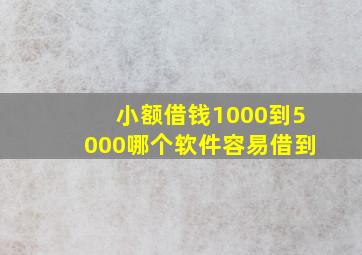 小额借钱1000到5000哪个软件容易借到