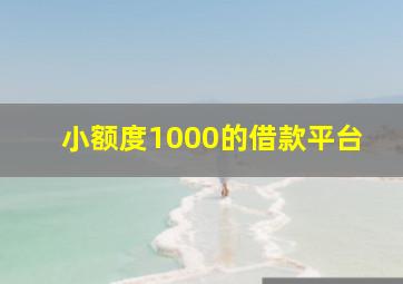 小额度1000的借款平台