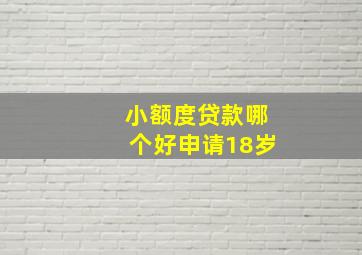 小额度贷款哪个好申请18岁