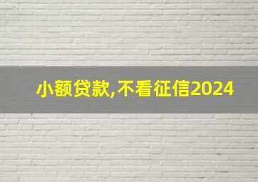 小额贷款,不看征信2024