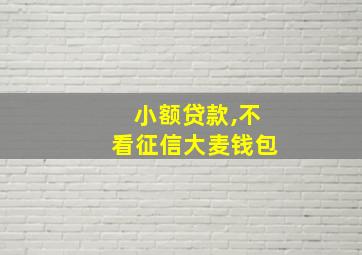 小额贷款,不看征信大麦钱包