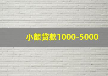 小额贷款1000-5000