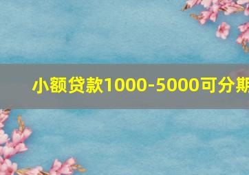 小额贷款1000-5000可分期