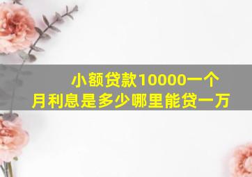 小额贷款10000一个月利息是多少哪里能贷一万