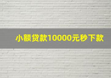 小额贷款10000元秒下款