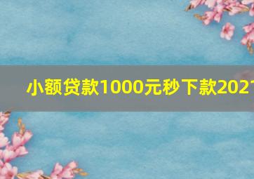 小额贷款1000元秒下款2021