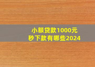 小额贷款1000元秒下款有哪些2024