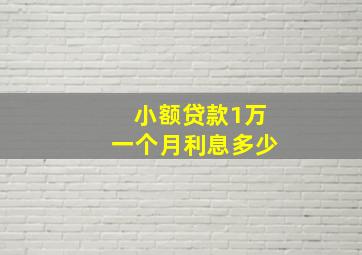 小额贷款1万一个月利息多少