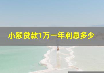 小额贷款1万一年利息多少