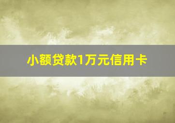 小额贷款1万元信用卡