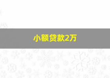 小额贷款2万