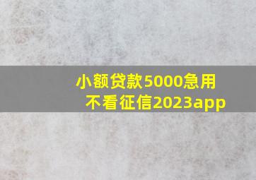 小额贷款5000急用不看征信2023app