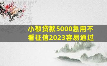 小额贷款5000急用不看征信2023容易通过