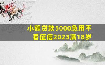 小额贷款5000急用不看征信2023满18岁