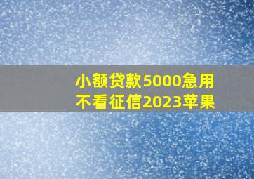 小额贷款5000急用不看征信2023苹果