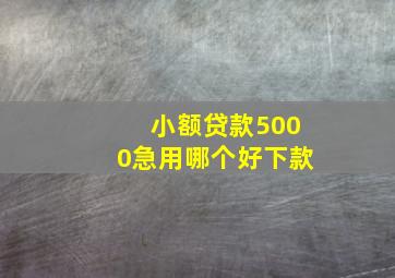 小额贷款5000急用哪个好下款