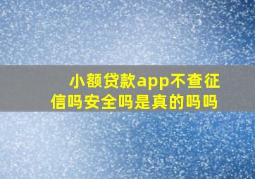 小额贷款app不查征信吗安全吗是真的吗吗