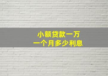 小额贷款一万一个月多少利息